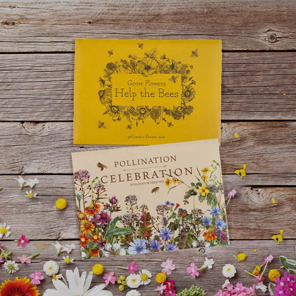 Bentley Pollination Celebration Wildflower Seed Packets, Non-GMO, Uncoated Flower Mix for Planting