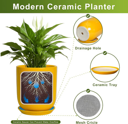 Ceramic Pot for Plants - 10 Inch Plant Pot Indoor with Drainage Hole and Saucer Large Planter for