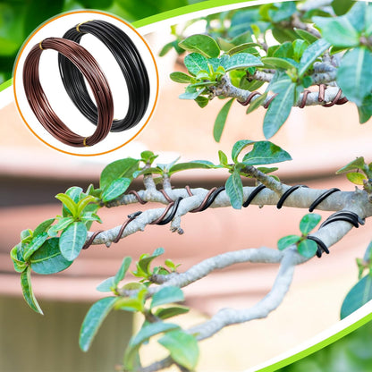5 Roll Aluminum Bonsai Training Wire & Cutter Set - 160 Feet Total with Adjustable Anodized Wire