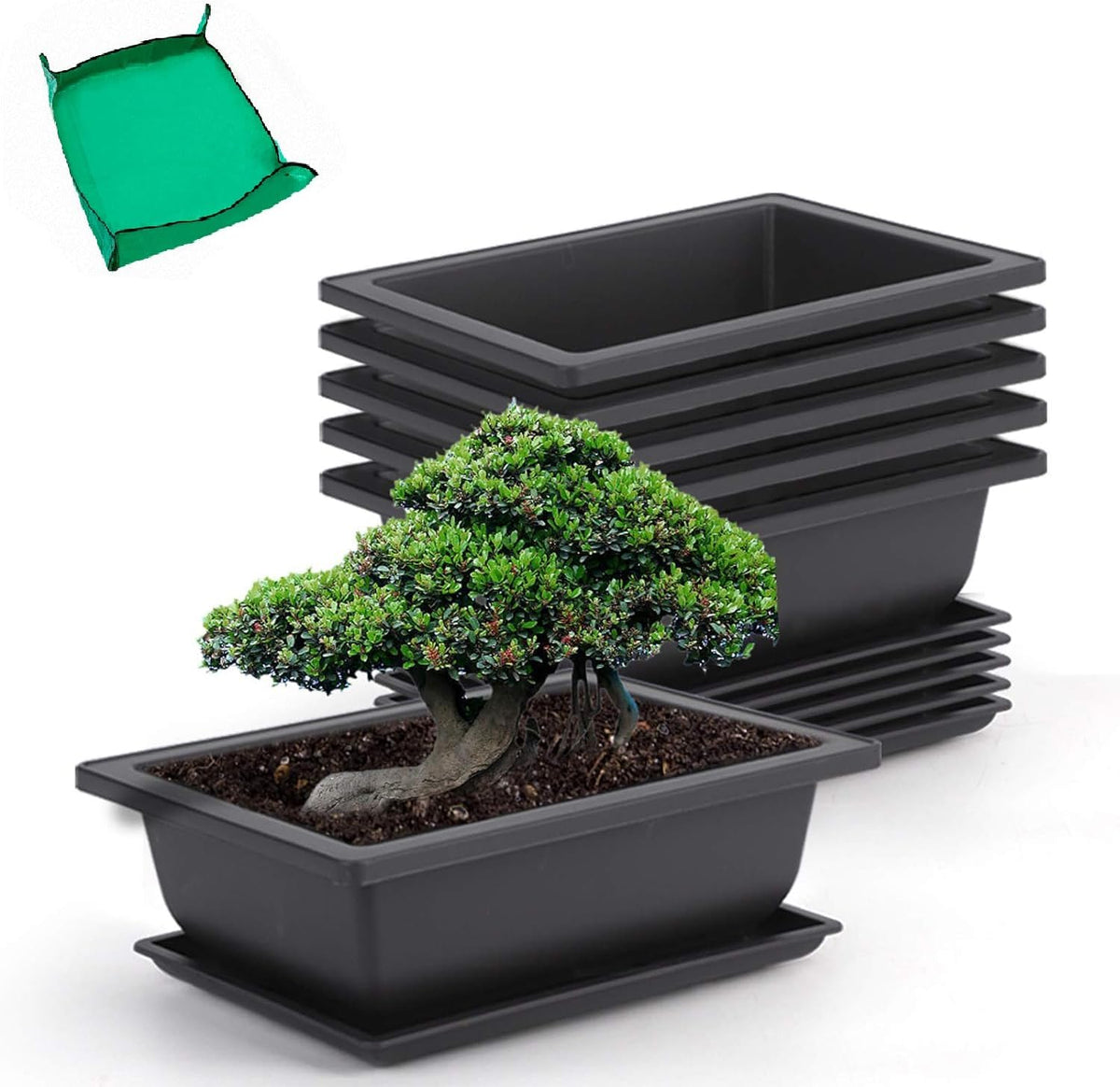 GROWNEER 6 Pack 9 Inch Bonsai Pots with Drainage Humidity Trays, Bonsai Tree Training Kits with 1