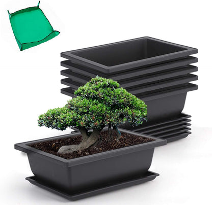 GROWNEER 6 Pack 9 Inch Bonsai Pots with Drainage Humidity Trays, Bonsai Tree Training Kits with 1