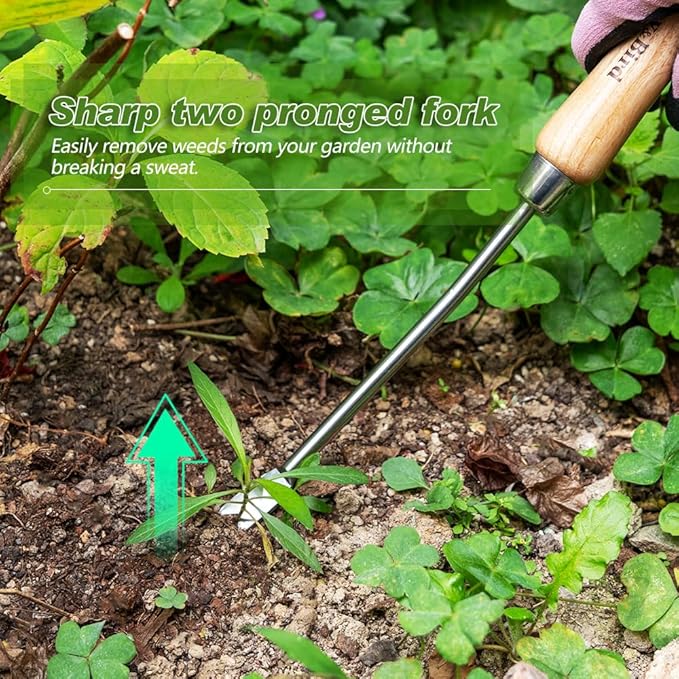 Berry&Bird Dandelion Weeding Tool Crack Weeder Manual Hand Weeder, V-Shaped Fork Easy Weed Removal
