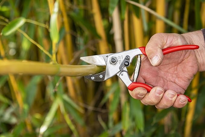 Felco F32 Pruning Shears – 8.3" Garden Clippers with Anvil Blade for Woody Stems | Hand Pruners for