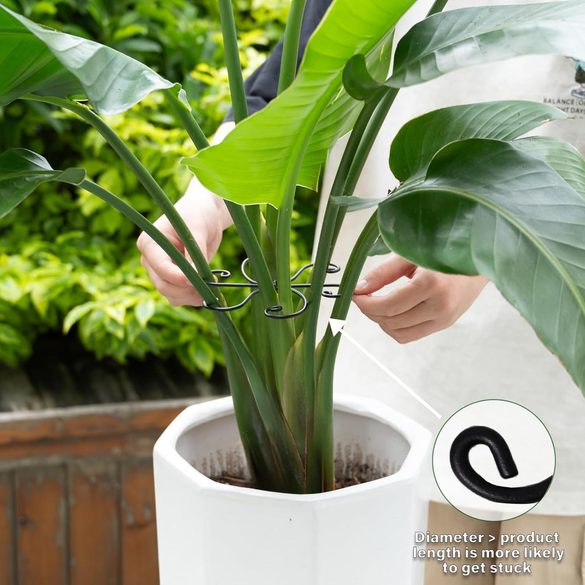 Black Monstera Plant Support 5.5IN 5PCS Premium Stem Support System for Indoor Plants, Durable