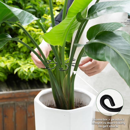Black Monstera Plant Support 5.5IN 5PCS Premium Stem Support System for Indoor Plants, Durable