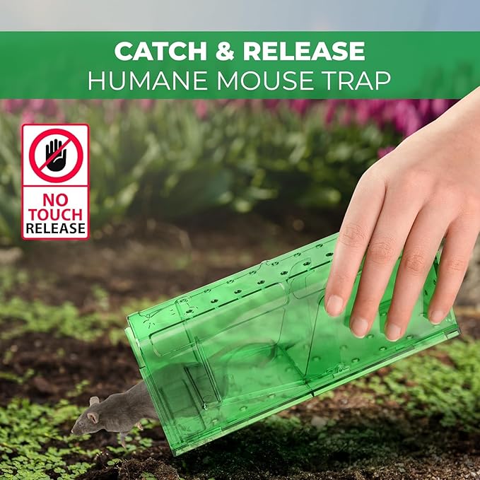 Humane Mouse Trap Pack of 2 - No Kill - Live Mouse Traps Indoor for Home Use - Reusable Rodent