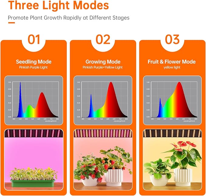Bstrip Indoor Greenhouse with Grow Lights, 4 Tier 27.2" L×19.9" W×61.8" H Mini Greenhouse with