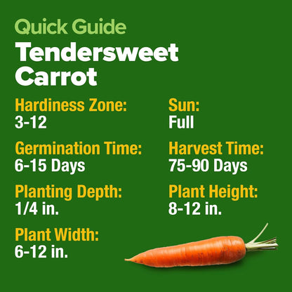 HOME GROWN Tendersweet Carrots Seeds 2 Pack - 6000 Non-GMO Heirloom Carrot Seeds for Planting