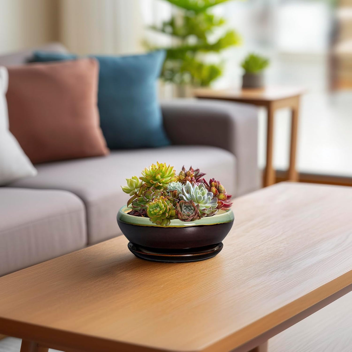 SQOWL Succulent Pots 6 Inch - Shallow Ceramic Planter, Bonsai Pot with Drainage Hole and Saucer