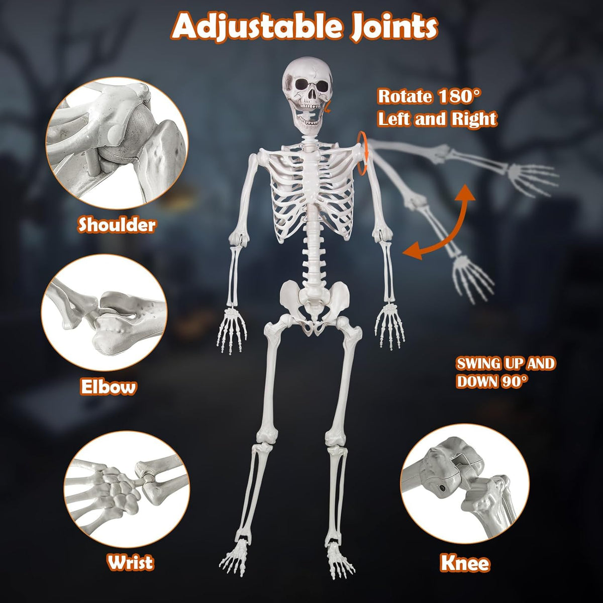 Halloween Skeleton, Realistic Life Size Skeleton with Movable Joints for Halloween Party Haunted
