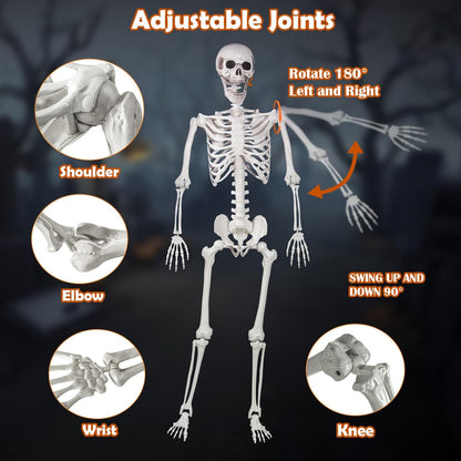 Halloween Skeleton, Realistic Life Size Skeleton with Movable Joints for Halloween Party Haunted