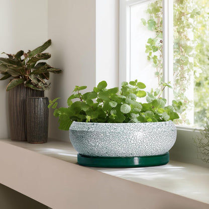 Bonsai Pots 13 Inch - Shallow Ceramic Planter with Drainage Hole and Saucer, Round Succulent Pots