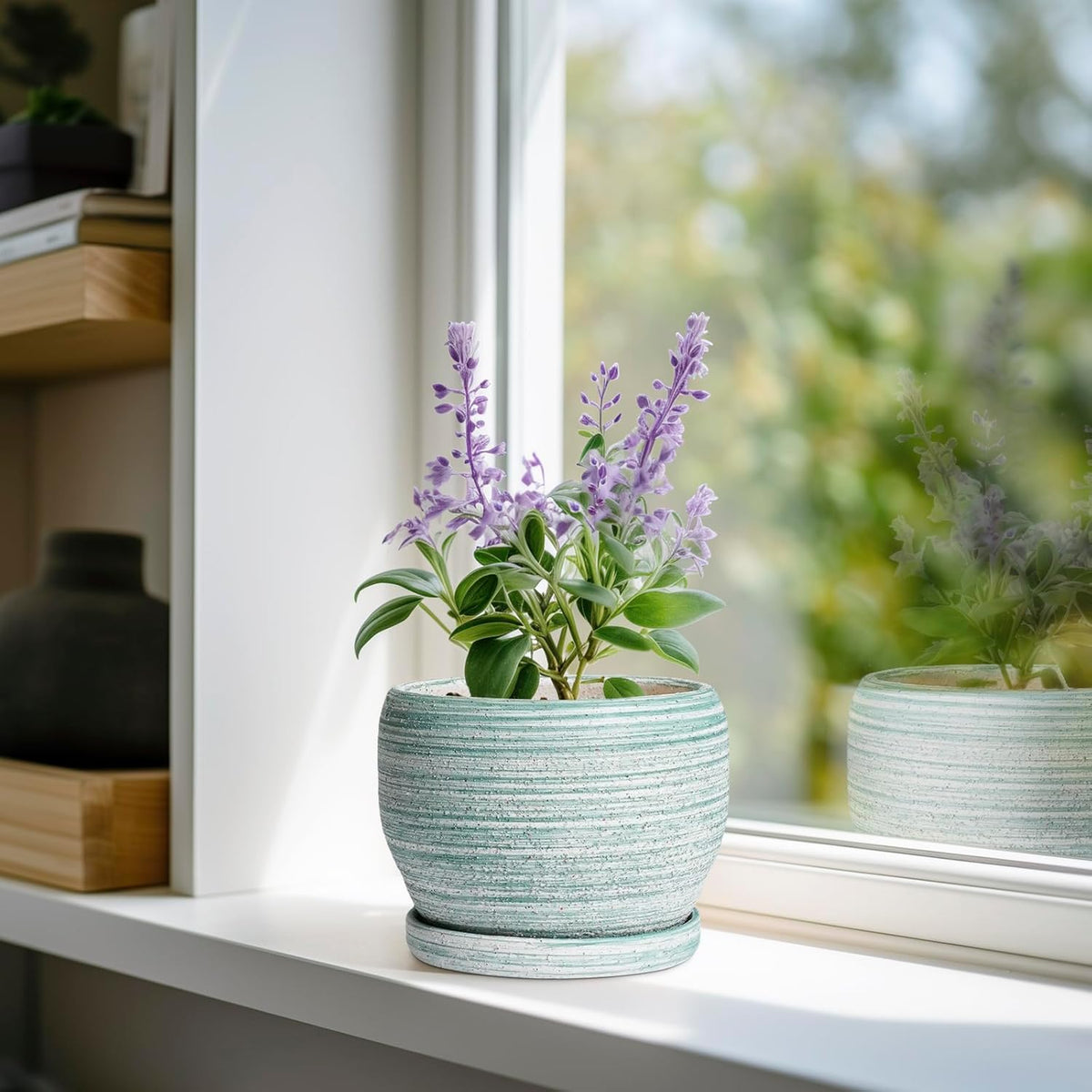 SQOWL Ceramic Plant Pots - 6 Inch Planter with Drainage Hole and Tray, Round Flower Pot for Indoor