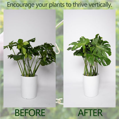 5PCS Durable Monstera Plant Stem Support Stake with Adjustable Leaf Holders - Plant Support Kit for