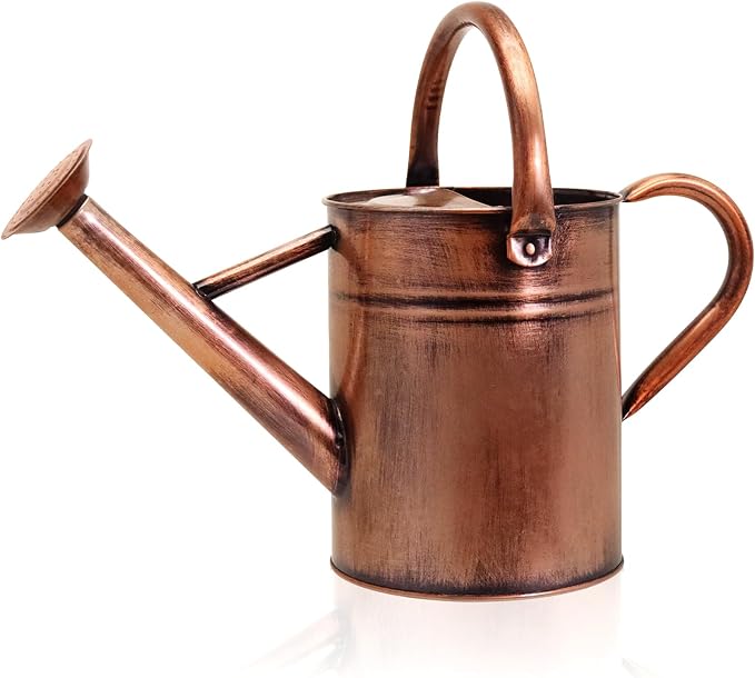 Metal Watering Can with Removable Spout, Galvanized Watering Can, Perfect for Indoor Use and for