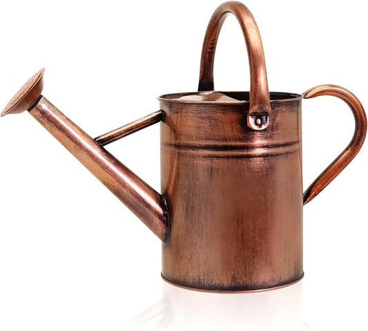 Metal Watering Can with Removable Spout, Galvanized Watering Can, Perfect for Indoor Use and for