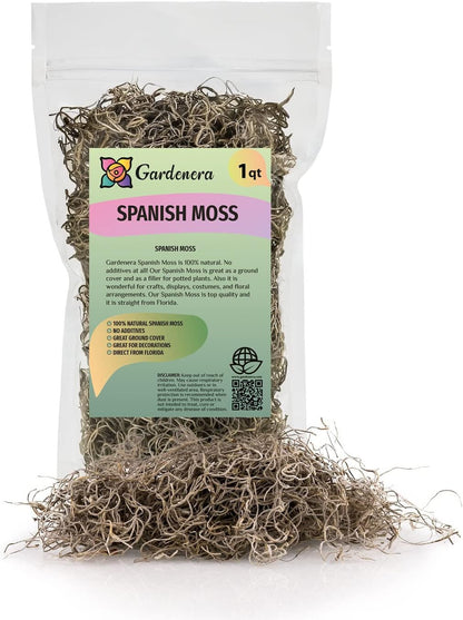 Premium Natural Spanish Moss | Natural Preserved - Great Ground Cover - Filler for Potted Plants