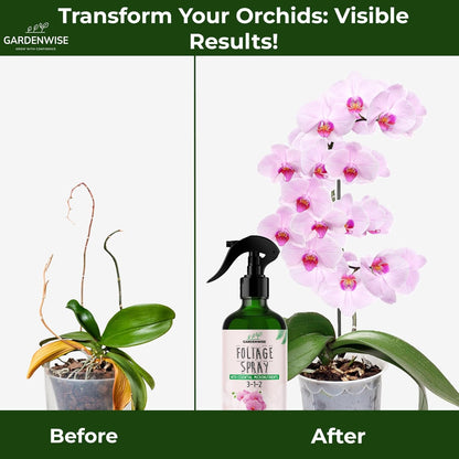Premium Orchid Plant Food Mist – Orchid Fertilizer Spray – Orchid Food Fertilizer for Blooming