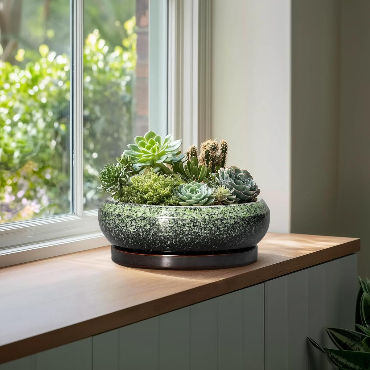 Bonsai Pots - 13 Inch Ceramic Succulent Planters Indoor, Round Shallow Planter with Drainage Hole