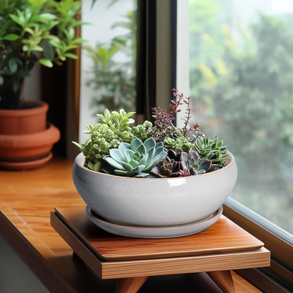 SQOWL Bonsai Tree Pots - 8 Inch Ceramic Plant Pots for Succulents, Shallow Planter with Drainage