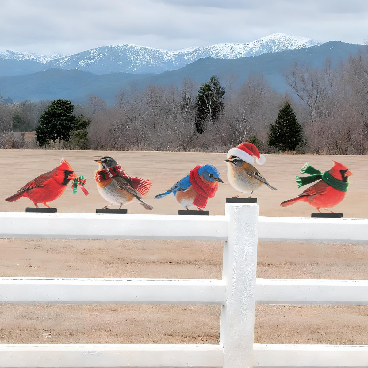 HUYIENO 5PCS Vibrant Metal Bird Decorations Christmas Fence Decor Colorful Garden Birds for Fences