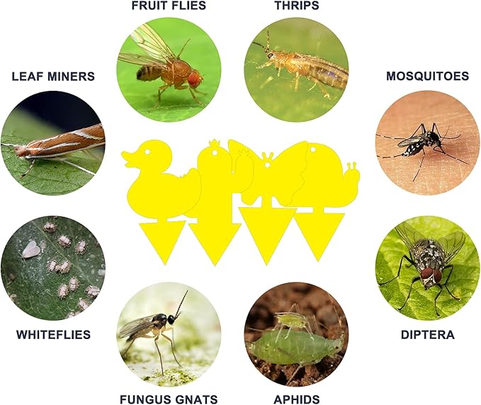 Gideal 48-Pack Dual-Sided Yellow Sticky Traps for Indoor/Outdoor Use, Gnat Trap for Flying Plant