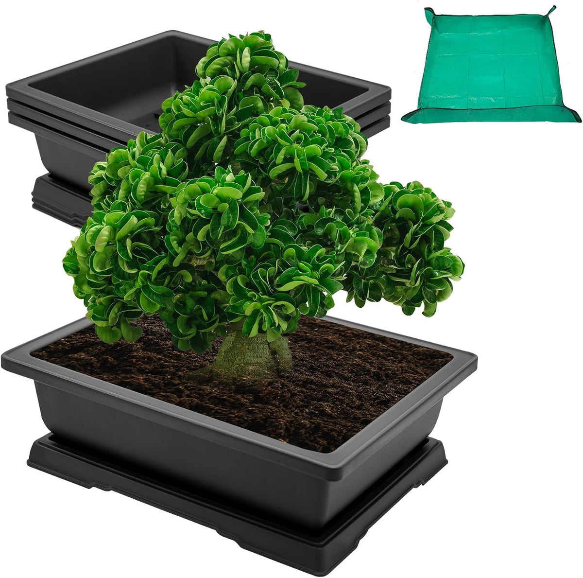 GROWNEER Large Bonsai Training Pots 3 Packs 14 Inch with Drainage Humidity Trays, Bonsai Tree