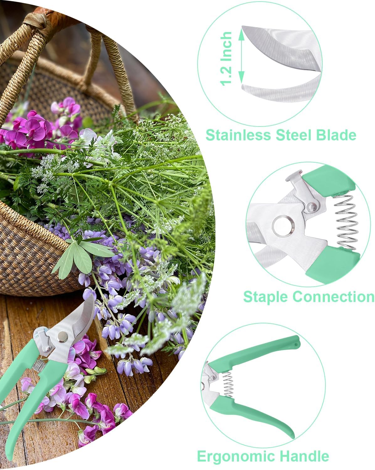 Pruning Shears for Gardening, 4 Pack Garden Scissors for Cutting Fresh Flowers, Floral Clippers for