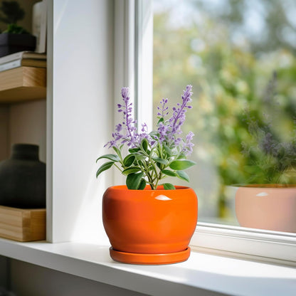 SQOWL Ceramic Plants Pots - 6 Inch Planter Indoor with Drainage Hole and Plant Saucer, Modern Round