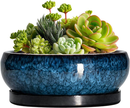 Succulent Pots - 6 Inch Ceramic Bonsai Pots with Drainage Hole and Saucer, Shallow Planter for