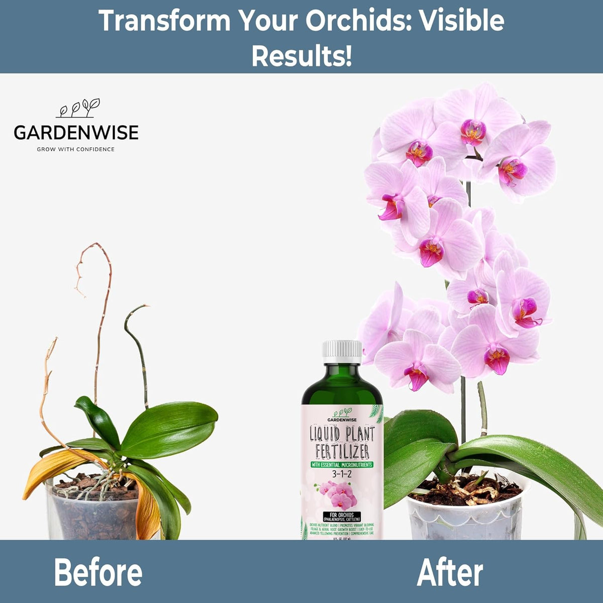 Liquid Orchid Fertilizer Concentrate 3-1-2 with Micronutrients Orchid Care Made Easy (16 OZ)