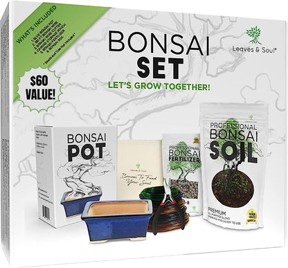 Leaves and Soul Complete Bonsai Set - Small Blue Rectangle Bonsai Pot | 160ft of Bonsai Hobby Wire