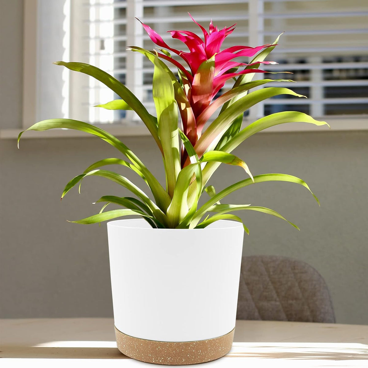 QCQHDU 8 inch Plant Pot, 2 Pack Planters for Indoor Plants with Drainage Holes & Saucer, Outdoor