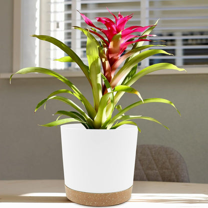 QCQHDU 8 inch Plant Pot, 2 Pack Planters for Indoor Plants with Drainage Holes & Saucer, Outdoor