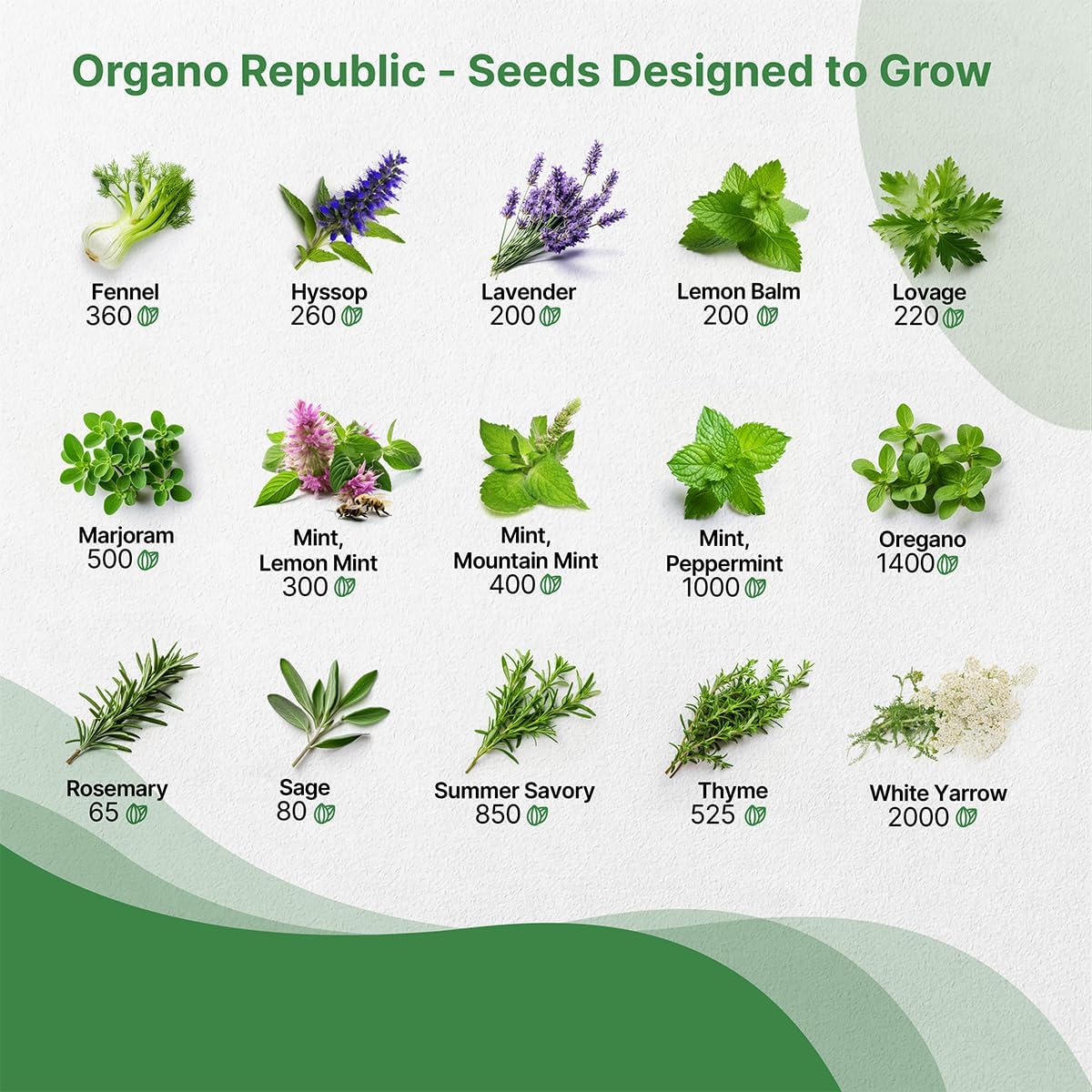 Organo Republic 30 Medicinal & Tea Herb Seeds Variety Pack 15,560+ Non-GMO Heirloom Garden Seeds