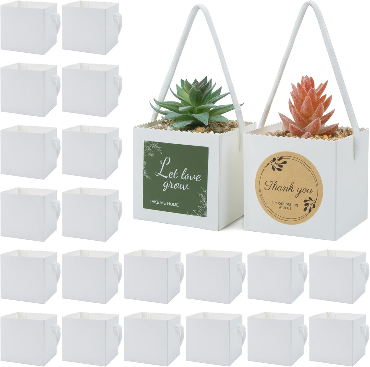 Temlum 2.5 Inch Succulent Wrap Bags (Fits 2.5″ Pots) with Thank You & Let Love Grow Stickers