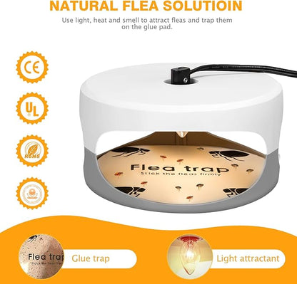 Flea Traps for Inside Your Home 2 Packs, Flea Light Trap for Indoor, Bed Bug Killer with Sticky