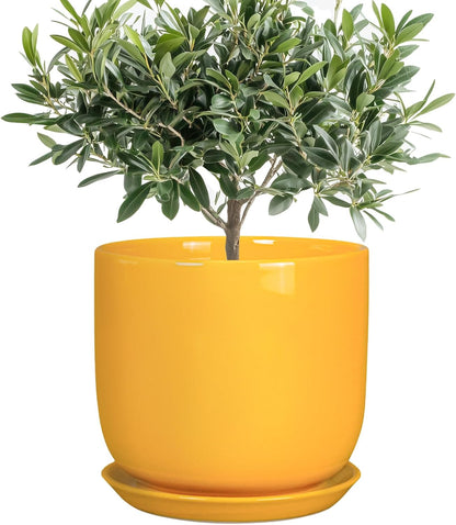 Ceramic Plant Pot 8 Inch - Decorative Modern Round Indoor Planter for Plants Flowers with Drainage