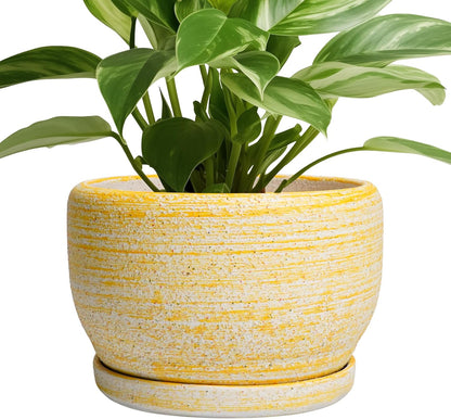 SQOWL Ceramic Flower Pots - 8 inch Plant Pot Indoor with Drainage Hole and Saucer, Modern Ceramic