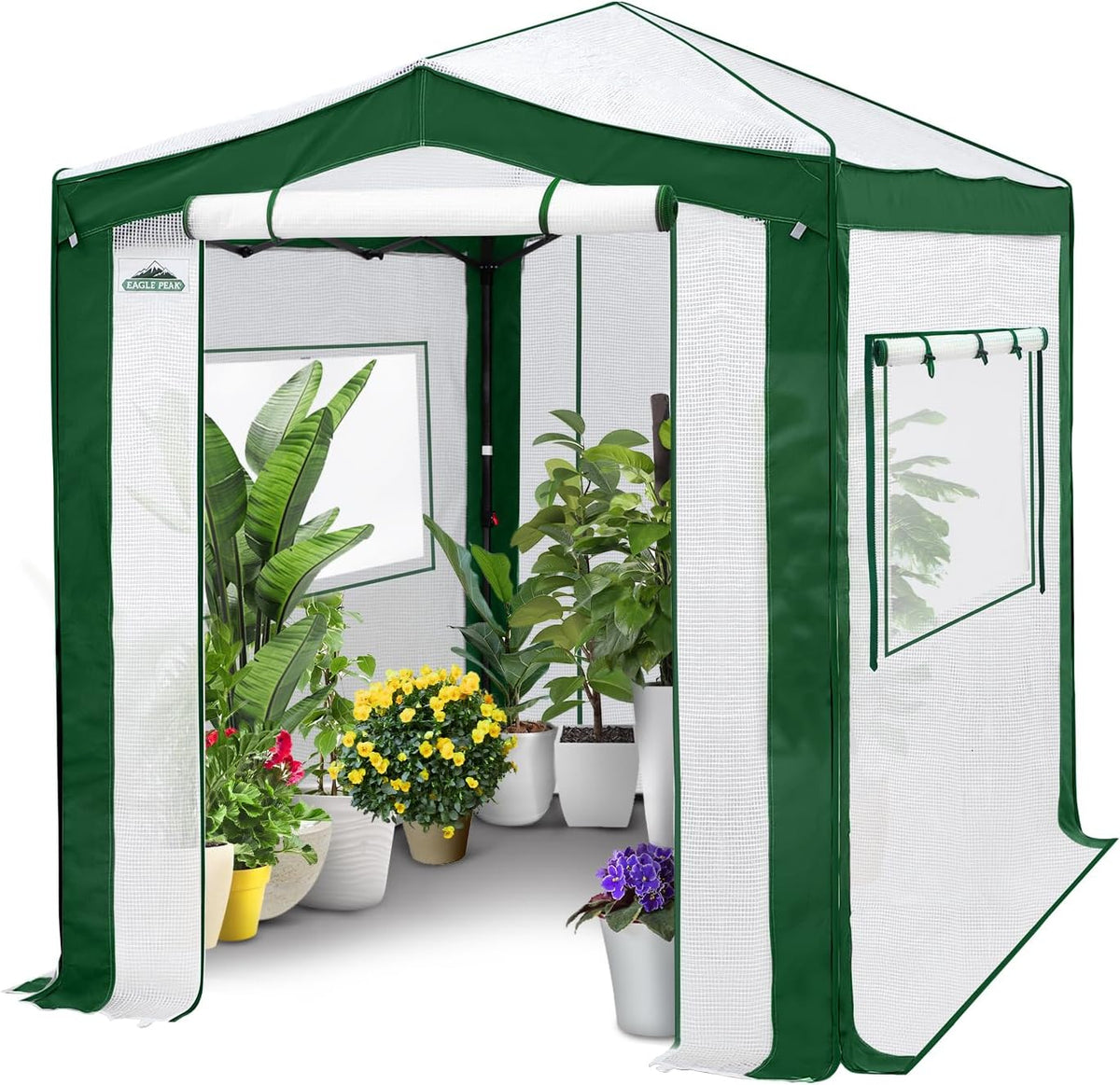 EAGLE PEAK 8x6 Portable Walk in Greenhouse with Polyester Reinforced Corners, Instant Pop Up Indoor