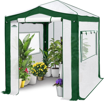 EAGLE PEAK 8x6 Portable Walk in Greenhouse with Polyester Reinforced Corners, Instant Pop Up Indoor