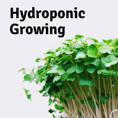 Micro-Mats Hydroponic Grow Pads - for Organic Production - 10 Pack - Plant & Seed Germination: