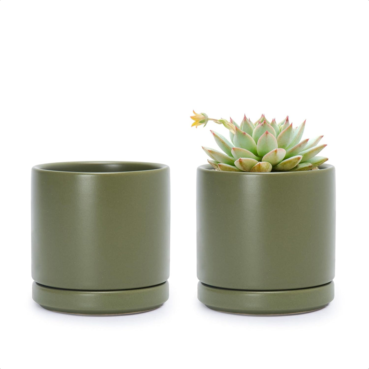 D'vine Dev Set of 2 Plants Pots, 3.5 Inch Ceramic Planter Pot for Plants with Drainage Hole and