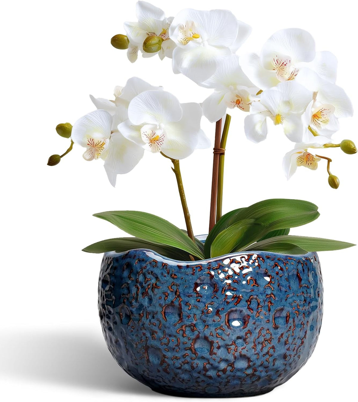 6 Inch Plant Pot - Ceramic Pots for Plants with Drainage Hole, Round Orchid Pot, Unique Planter for
