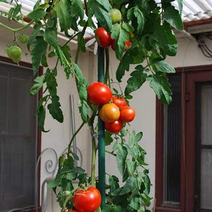 Xiny Tool Garden Stakes, 25 Pack 4 Ft Steel Plant Garden Tomato Stakes with Plastic Coat for
