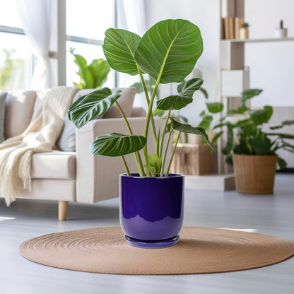 Ceramic Planter - 12 Inch Pots for Plants Ceramic Plant Pot Indoor with Drainage Hole and Saucer