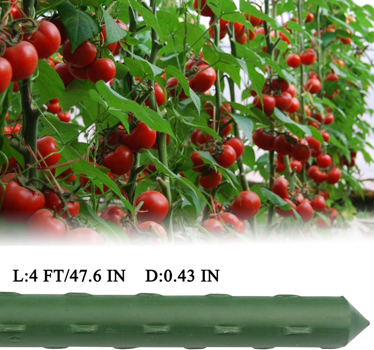 Sunnyglade 25PCS 48” Plant Stakes Garden Tomato Sticks Plant Stakes & Supports for Potted Plants