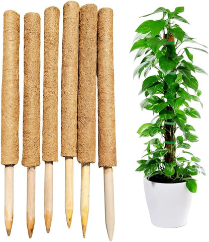 Pack of 6 Coco Coir Pole- Plants Monstera 24" Sized Poles for Climbing Plants, Plant Support Stakes