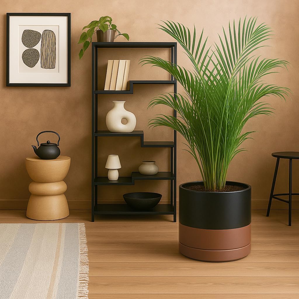 D'vine Dev 12 Inch Ceramic Planter Pot with Drainage Hole and Saucer, Indoor Cylinder Round Planter