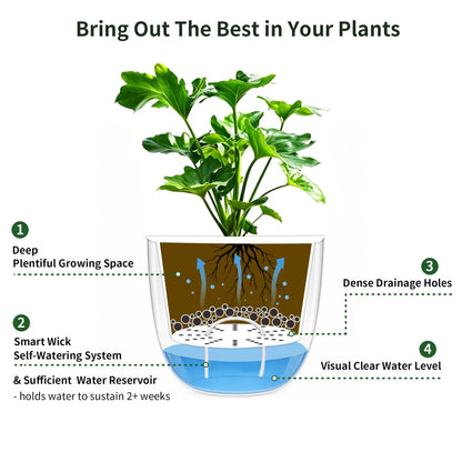 Melphoe 2 Pack Self Watering Hanging Planters Indoor Flower Pots, 6.5 Inch Outdoor Hanging Basket